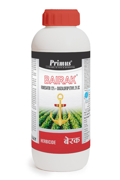 bairak