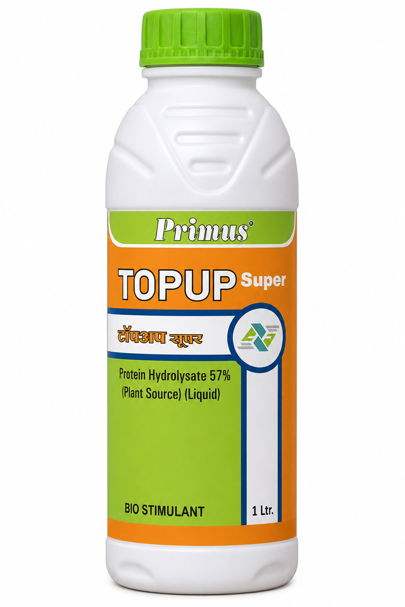 topup-super-800x1200